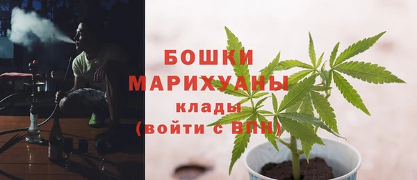 соль ск Абаза
