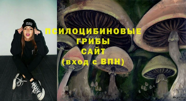 spice Алзамай